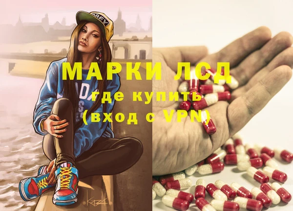 прущие грибы Армянск