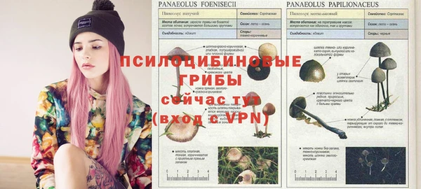 дмт Арсеньев
