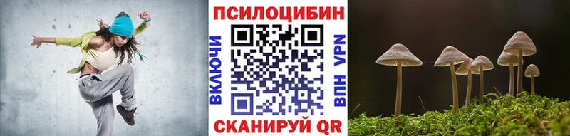 mega   Пудож  darknet какой сайт  Псилоцибиновые грибы Cubensis 